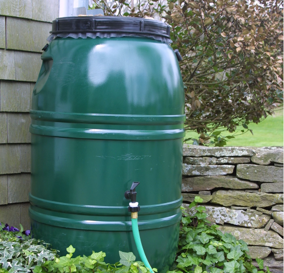 Rain Barrel pic